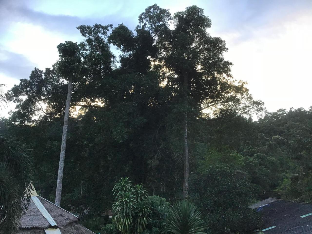Hotel Grand Tree Koh Chang Zewnętrze zdjęcie